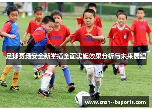 足球赛场安全新举措全面实施效果分析与未来展望